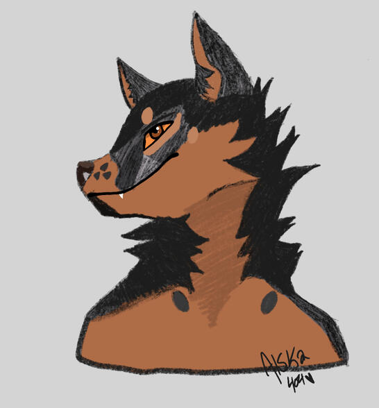 Beauceron Bust