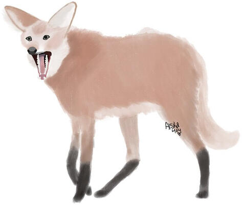 Maned Wolf Full painted